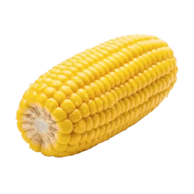 Imagen PNG para descargar